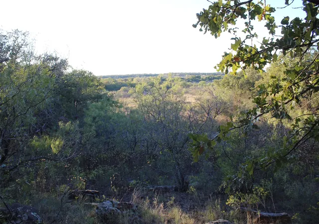 Homes for sale in Nocona, TX | 000 Eureka School Rd, Nocona, TX 76255 | MLS# 20455267