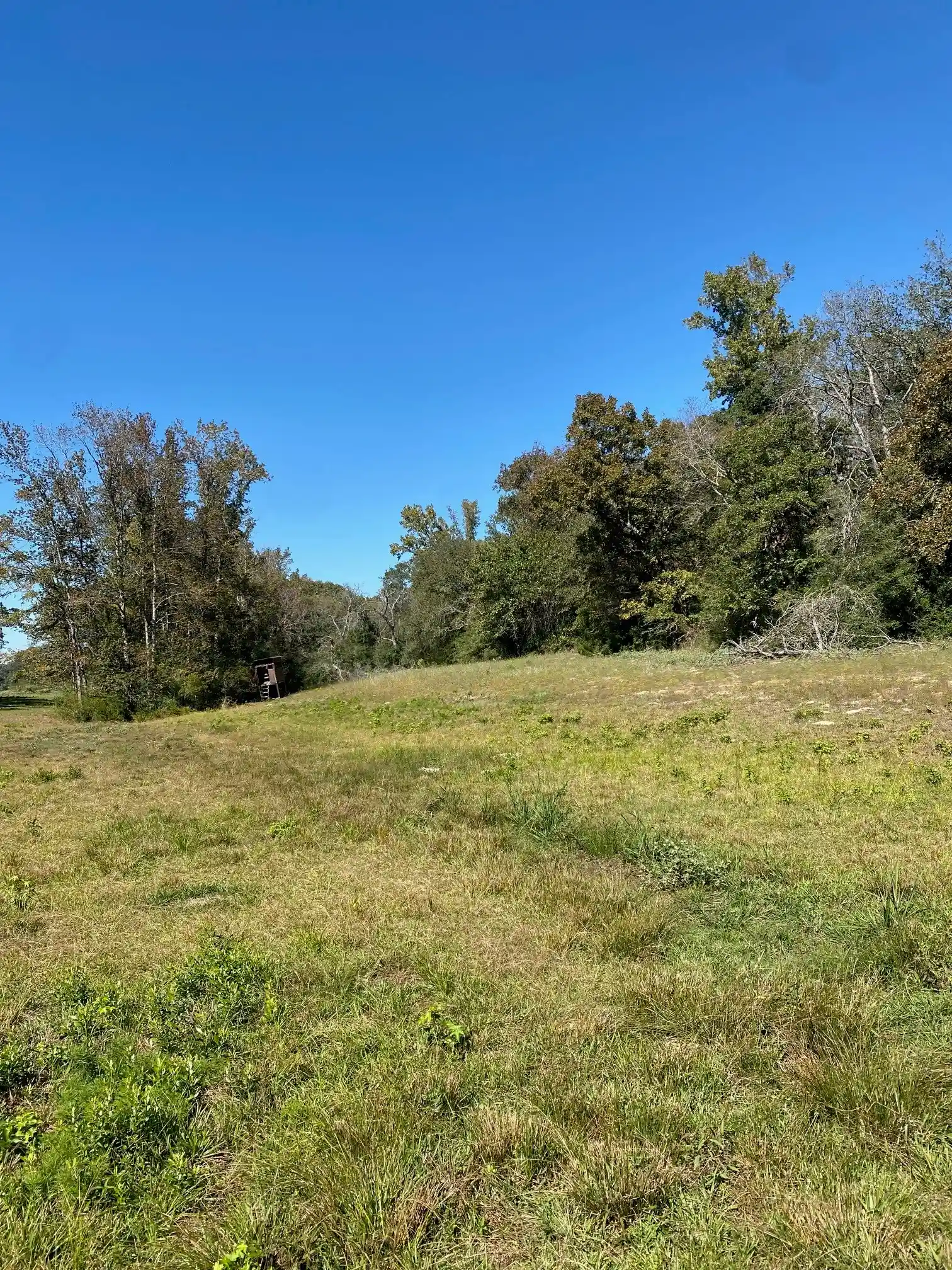 Photo 1 of Land for sale at Tbd 008 County Rd 242, Oakwood, TX 75855 | MLS# 20515150 | Listing updated on 2026-10-19