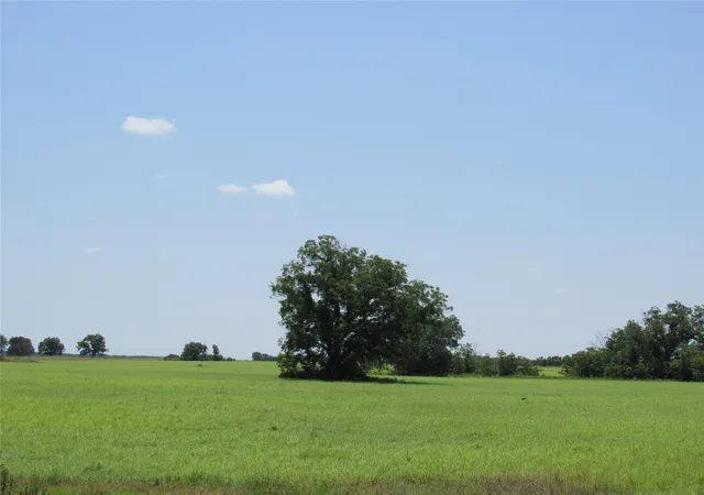 Photo 1 of Sale Pending at Tbd Co Rd 295, Carbon, TX 76435 | MLS# 20520667 | Listing updated on 2026-07-18