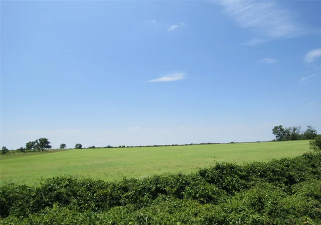 Photo 2 of Sale Pending at Tbd Co Rd 295, Carbon, TX 76435 | MLS# 20520667 | Listing updated on 2026-07-18