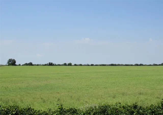 Photo 3 of Sale Pending at Tbd Co Rd 295, Carbon, TX 76435 | MLS# 20520667 | Listing updated on 2026-07-18