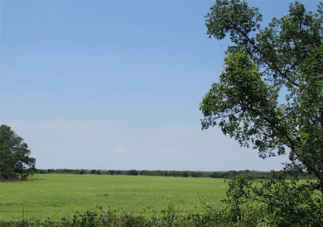 Photo 4 of Sale Pending at Tbd Co Rd 295, Carbon, TX 76435 | MLS# 20520667 | Listing updated on 2026-07-18