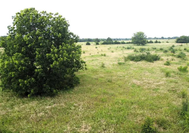 12th image of Lot 6 Cr 1400, Ravenna, TX 75476 | MLS# 20524160