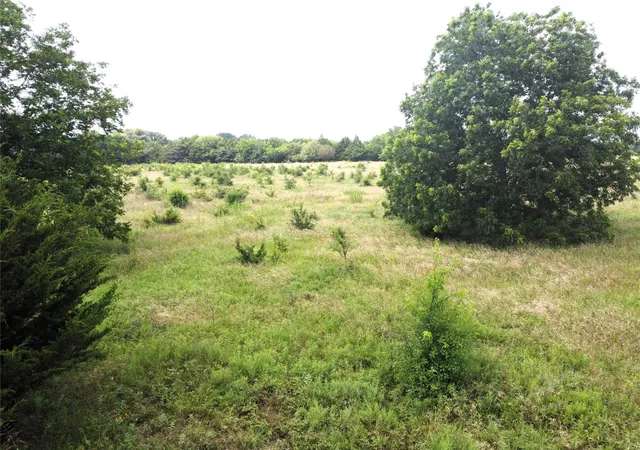 3rd image of Lot 6 Cr 1400, Ravenna, TX 75476 | MLS# 20524160