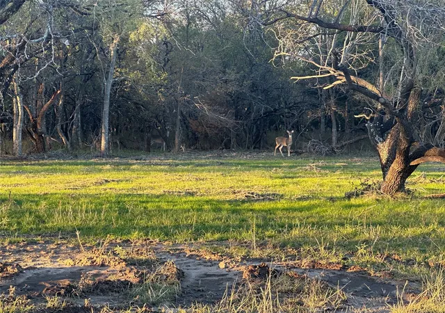Photo 4 of Land for sale at Lot 9 Grison Cir, Corsicana, TX 75109 | MLS# 20530769 | Listing updated on 2026-09-24
