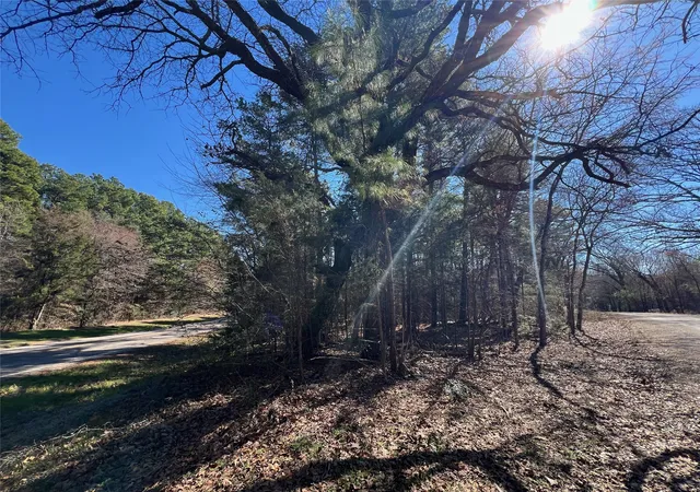 Photo 2 of Sale Pending at Tbd Farm Market 1521, Pittsburg, TX 75686 | MLS# 20532523 | Listing updated on 2026-08-24