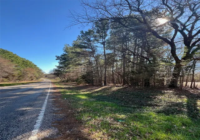 Photo 3 of Sale Pending at Tbd Farm Market 1521, Pittsburg, TX 75686 | MLS# 20532523 | Listing updated on 2026-08-24