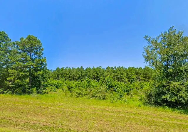 Homes for sale in Avinger, TX | 0 Hwy 155, Avinger, TX 75630 | MLS# 20559970