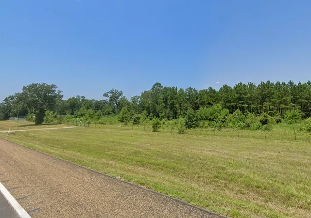 Homes for sale in Avinger, TX | 0 Hwy 155, Avinger, TX 75630 | MLS# 20559970