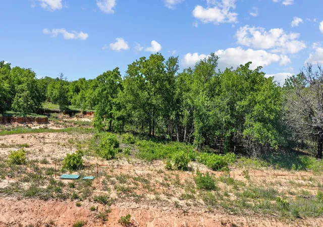 Photo 4 of Land for sale at 8009 Oak Grove Ct, Poolville, TX 76487 | MLS# 20555101 | Listing updated on 2026-07-20
