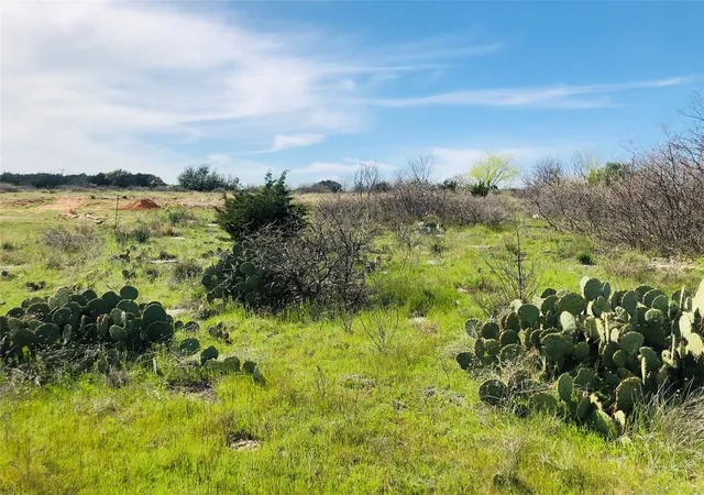 Homes for sale in Possum Kingdom Lake, TX | Lot 220 Oak Tree Dr, Possum Kingdom Lake, TX 76449 | MLS# 20565242