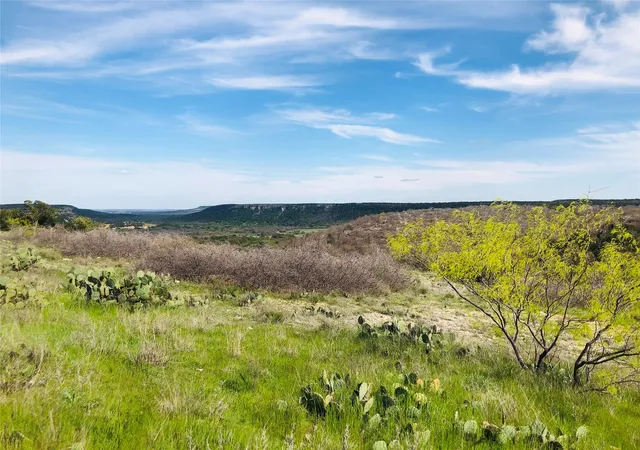Homes for sale in Possum Kingdom Lake, TX | Lot 220 Oak Tree Dr, Possum Kingdom Lake, TX 76449 | MLS# 20565242