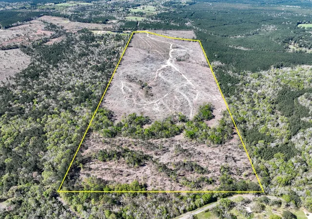 Homes for sale in Kirbyville, TX | 1 County Road 443, Kirbyville, TX 75956 | MLS# 20566628
