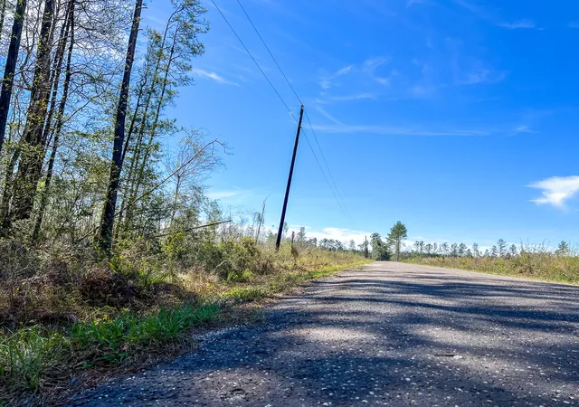 Homes for sale in Kirbyville, TX | 1 County Road 443, Kirbyville, TX 75956 | MLS# 20566628