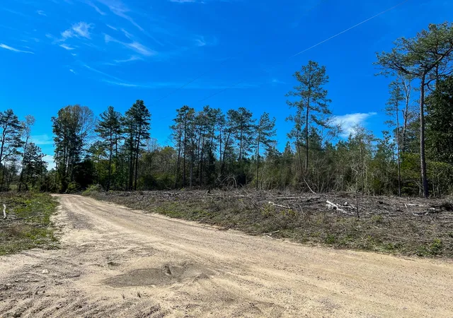 Homes for sale in Kirbyville, TX | 1 County Road 443, Kirbyville, TX 75956 | MLS# 20566628