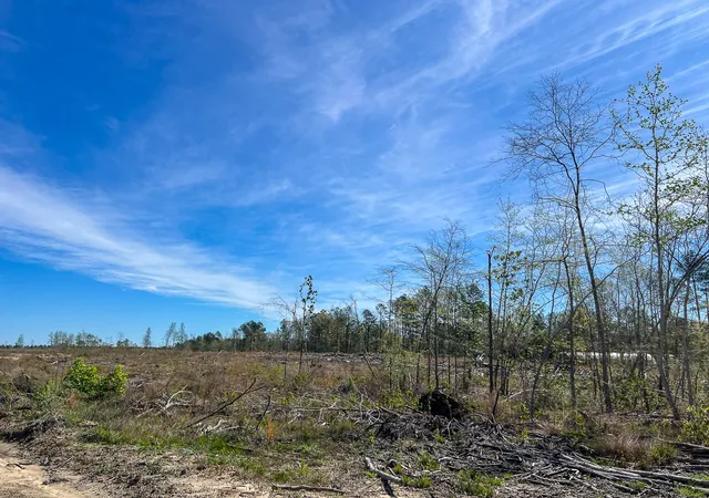 Homes for sale in Kirbyville, TX | 1 County Road 443, Kirbyville, TX 75956 | MLS# 20566628