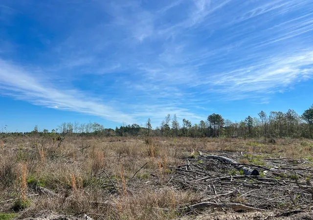 Homes for sale in Kirbyville, TX | 1 County Road 443, Kirbyville, TX 75956 | MLS# 20566628