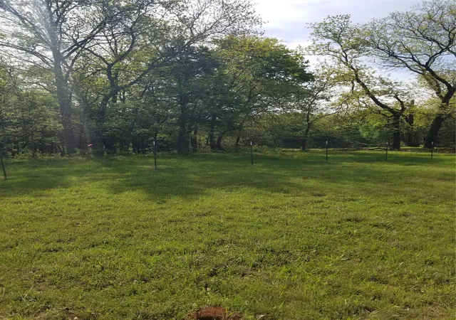 Photo 3 of Land for sale at 0 Fleming Rd, Bells, TX 75414 | MLS# 20575437 | Listing updated on 2026-07-23