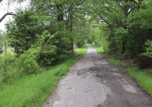Photo 3 of Sale Pending at Tbd Rs County Road 2365, Alba, TX 75410 | MLS# 20581292 | Listing updated on 2026-10-05