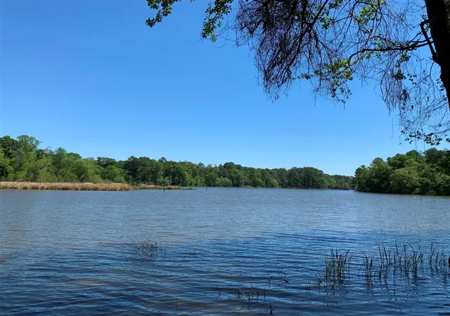 Photo 2 of Land for sale at Tbd Fm 3506, Frankston, TX 75763 | MLS# 20583366 | Listing updated on 2026-08-22