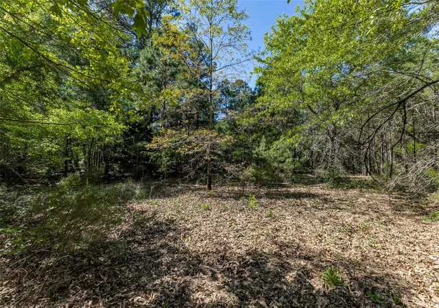 Homes for sale in Hawkins, TX | 0 S Fm 14, Hawkins, TX 75773 | MLS# 20584344