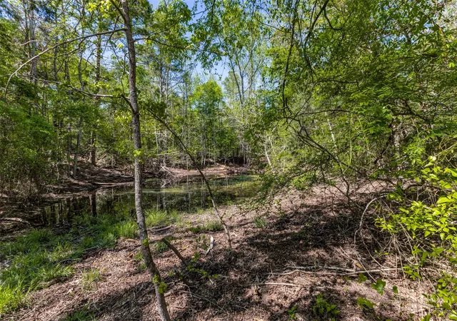 Homes for sale in Hawkins, TX | 0 S Fm 14, Hawkins, TX 75773 | MLS# 20584344