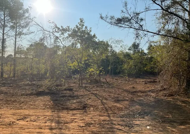 Photo 2 of Land for sale at 5 Lake Rd, Plain Dealing, LA 71064 | MLS# 20586618 | Listing updated on 2026-07-15