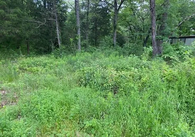 Photo 1 of Land for sale at 220 Bowie St, Mabank, TX 75156 | MLS# 20593199 | Listing updated on 2026-10-05