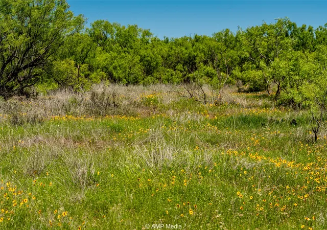 Homes for sale in Haskell, TX | Tbd Fm 600, Haskell, TX 79521 | MLS# 20600167