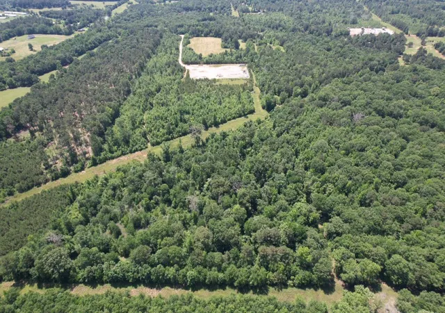 Land for sale at Tbd County Road 432, Tenaha, TX 75974 | MLS# 20610723