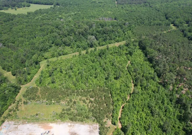 Photo 3 of Land for sale at Tbd County Road 432, Tenaha, TX 75974 | MLS# 20610723 | Listing updated on 2026-09-01