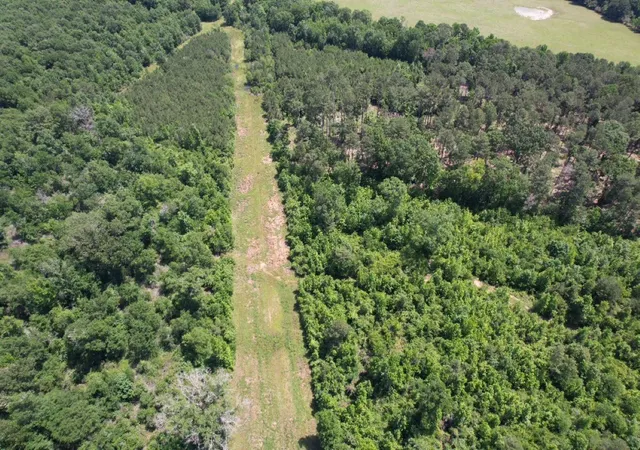 Photo 4 of Land for sale at Tbd County Road 432, Tenaha, TX 75974 | MLS# 20610723 | Listing updated on 2026-09-01