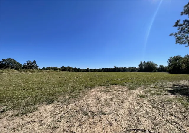Photo 3 of Land for sale at Tbd-C County Road 4653, Tenaha, TX 75974 | MLS# 20614285 | Listing updated on 2026-09-01