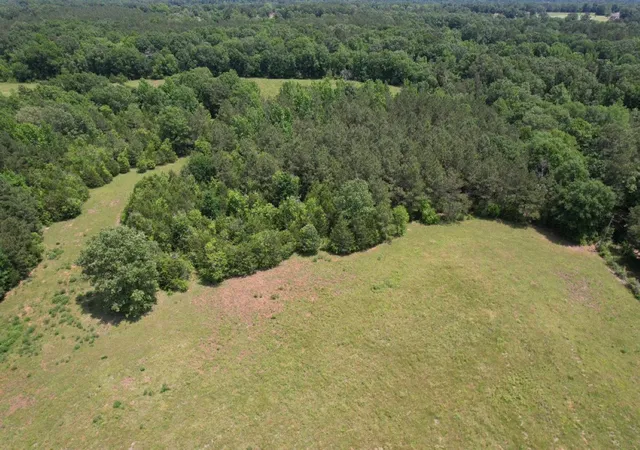 Photo 4 of Land for sale at Tbd-C County Road 4653, Tenaha, TX 75974 | MLS# 20614285 | Listing updated on 2026-09-01