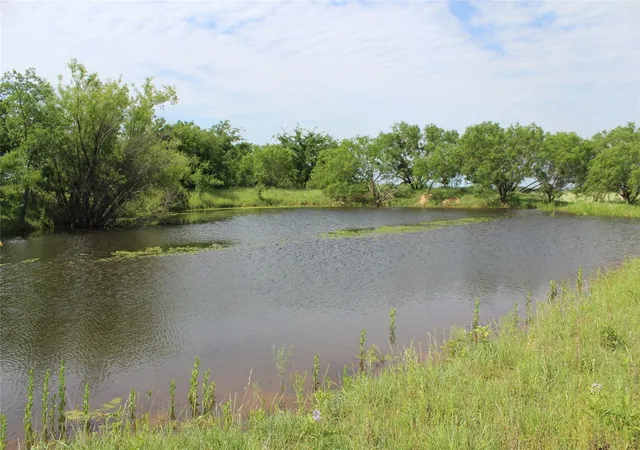 Land for sale at 9999 County Road 334, Blanket, TX 76432 | MLS# 20615102