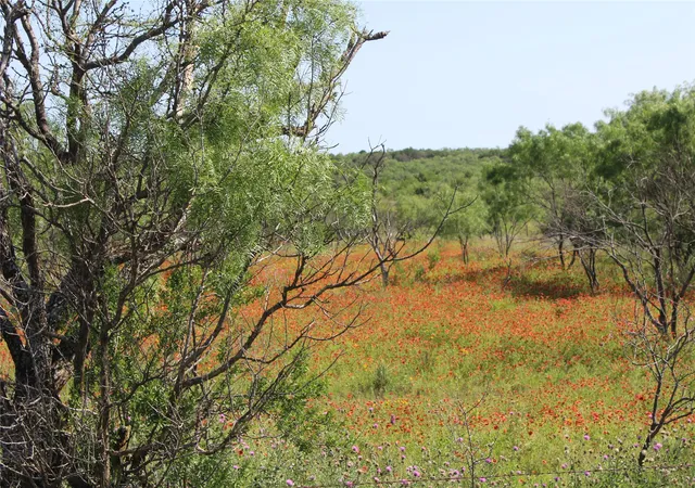 Photo 3 of Land for sale at 9999 County Road 334, Blanket, TX 76432 | MLS# 20615102 | Listing updated on 2026-08-22