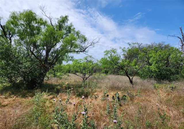 Photo 2 of Sale Pending at Tbd County Road 125, Cisco, TX 76437 | MLS# 20618884 | Listing updated on 2026-09-29