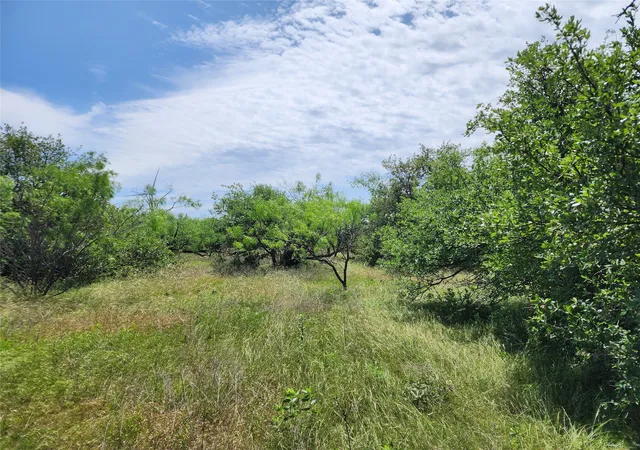 Photo 3 of Sale Pending at Tbd County Road 125, Cisco, TX 76437 | MLS# 20618884 | Listing updated on 2026-09-29