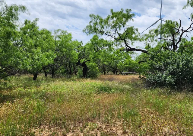 Photo 4 of Sale Pending at Tbd County Road 125, Cisco, TX 76437 | MLS# 20618884 | Listing updated on 2026-09-29
