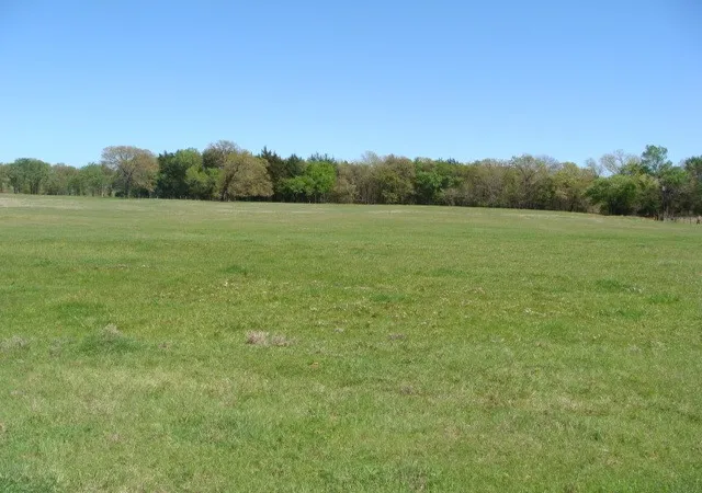 Photo 1 of Land for sale at 0 Tbd2 Fleming Rd, Bells, TX 75414 | MLS# 20623682 | Listing updated on 2026-10-01