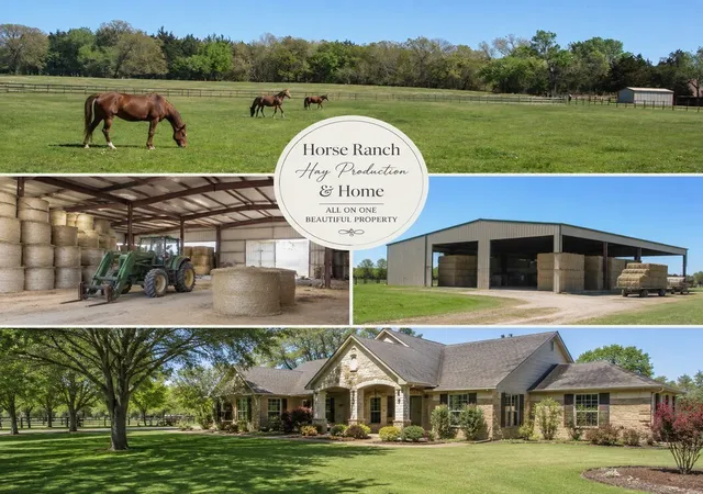Photo 2 of Land for sale at 0 Tbd2 Fleming Rd, Bells, TX 75414 | MLS# 20623682 | Listing updated on 2026-10-01