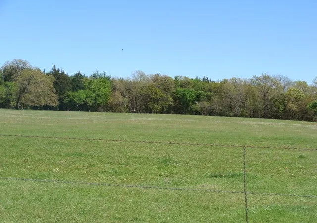 Photo 3 of Land for sale at 0 Tbd2 Fleming Rd, Bells, TX 75414 | MLS# 20623682 | Listing updated on 2026-10-01
