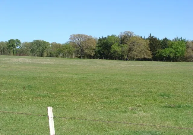 Photo 3 of Land for sale at 0 Tbd2 Fleming Rd, Bells, TX 75414 | MLS# 20623682 | Listing updated on 2026-10-01