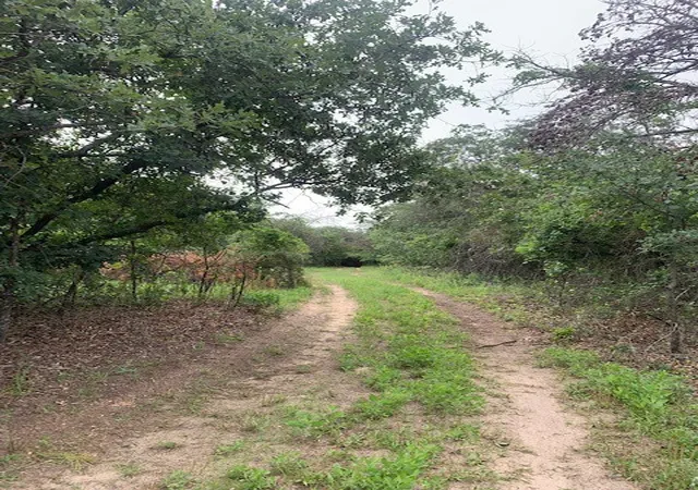 Photo 4 of Land for sale at 378 Acres Boyd Rd, Azle, TX 76020 | MLS# 20641933 | Listing updated on 2026-09-17
