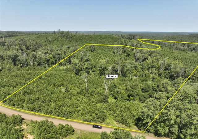 Homes for sale in Hemphill, TX | 01 Carters Ferry Road, Hemphill, TX 75959 | MLS# 20648194