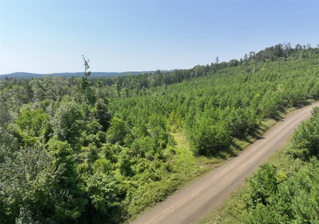 Homes for sale in Hemphill, TX | 01 Carters Ferry Road, Hemphill, TX 75959 | MLS# 20648194