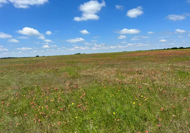 Photo 4 of Land for sale at Tbd Hcr 3373, Hubbard, TX 76648 | MLS# 20652291 | Listing updated on 2026-08-04