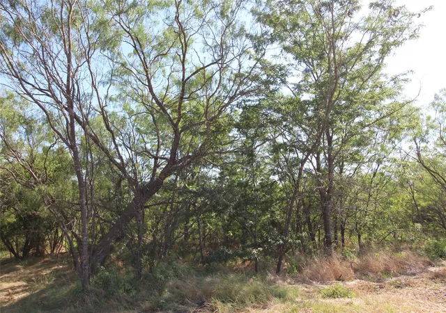 Photo 3 of Land for sale at Tbd Lot 7 Fm 2860, Kaufman, TX 75142 | MLS# 20653137 | Listing updated on 2026-07-10