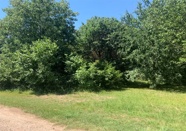 Photo 3 of Land for sale at Tbd Vz County Road 3718, Wills Point, TX 75169 | MLS# 20637269 | Listing updated on 2026-07-21