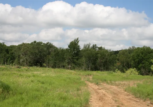 Homes for sale in Strawn, TX | 464 Upper Brad Rd, Strawn, TX 76475 | MLS# 20664055